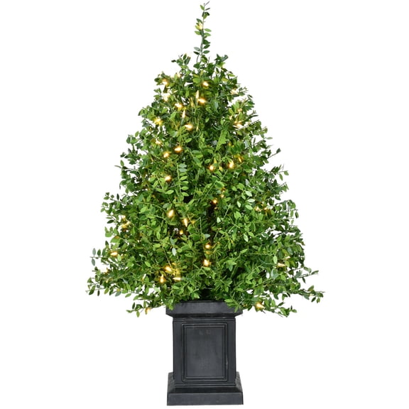 Fraser Hill Farm 2-Ft. Boxwood Porch Tree in Black Pot with Warm White Lights, FFBXPT024-5GR1