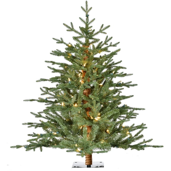Fraser Hill Farm 3-Ft. Green Alpine Porch Accent Tree with Warm White LED Lights, FFAP030-5GR
