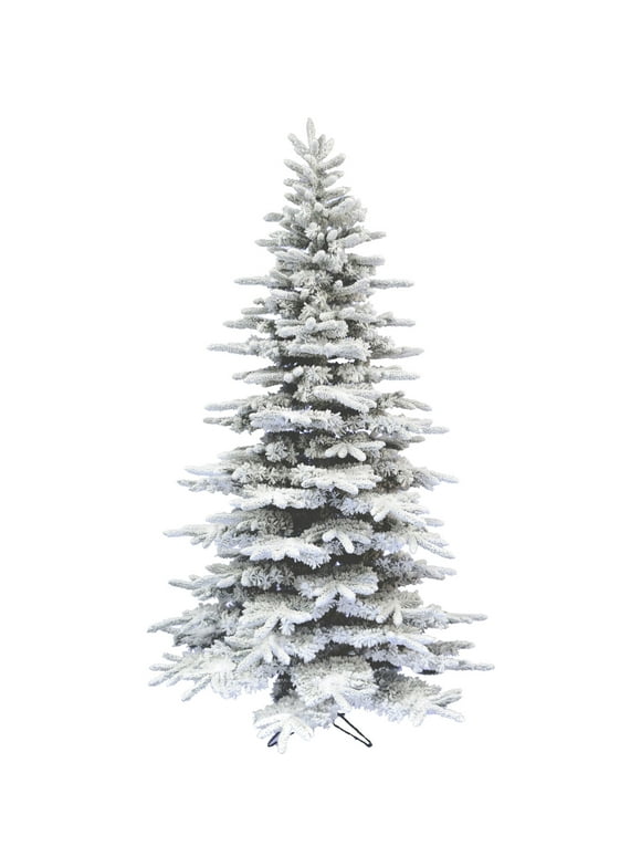 12 Foot Christmas Trees in Christmas Trees by Height