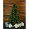 thumbnail image 1 of Fraser Hill Farm Prelit LED Multicolor Canyon Pine 6.5-ft. Christmas Tree, FFCM065-6GR, 1 of 15