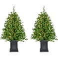 thumbnail image 1 of Fraser Hill Farm 2-Ft. Boxwood Porch Tree in Black Pot with Warm White Lights, Set of 2, FFBXPT024-5GR1/S2, 1 of 9