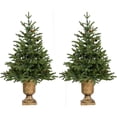 thumbnail image 1 of Fraser Hill Farm Set of Two 3-Ft. Noble Fir Artificial Trees with Metallic Urn Bases, FFNF042-0GR/SET2, 1 of 11