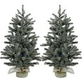 thumbnail image 1 of Fraser Hill Farm Set of Two 4.8-ft. Heritage Pine Artificial Trees with Burlap Bases and Multi-Colored LED String Lights, FFHP056-6GRB/SET2, 1 of 3