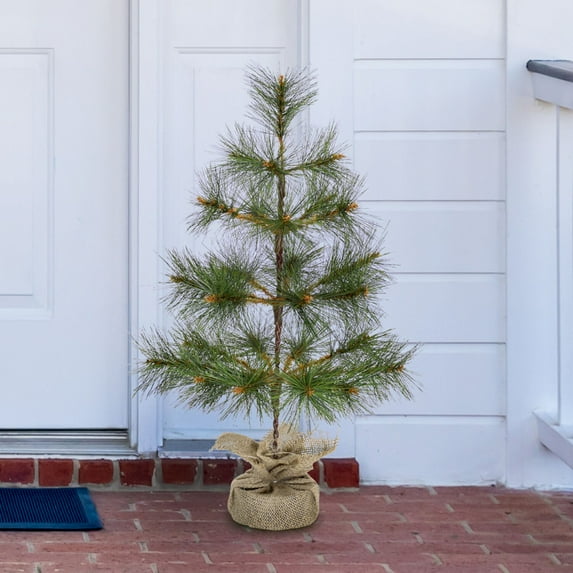 Fraser Hill Farm 3-ft. Farmhouse Fir Christmas Tree with Burlap Bag, FFFF036-0GR