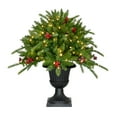 thumbnail image 1 of Fraser Hill Farm 2-Ft. Porch Tree in Black Pot with Red Berries and Warm White Lights, FF004PT-024-5GR, 1 of 9