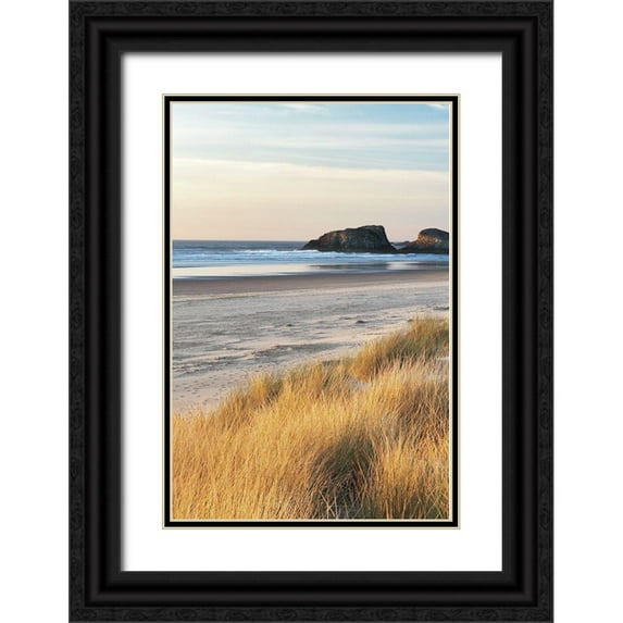 Frates, Dennis 11x14 Black Ornate Wood Framed with Double Matting Museum Art Print Titled - Dune Grass and Beach I