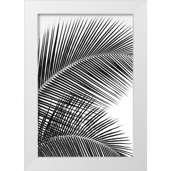 Frates, Dennis 11x14 White Modern Wood Framed Museum Art Print Titled - Tropical Fan