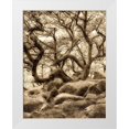 thumbnail image 1 of Frates, Dennis 15x18 White Modern Wood Framed Museum Art Print Titled - Moss covered oak trees in Wistmans Wood. Devon County. Dartmoor National Park, England, 1 of 4