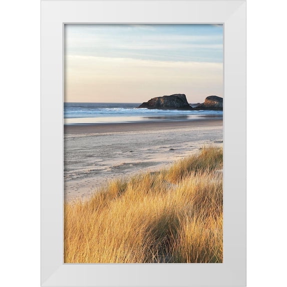 Frates, Dennis 17x24 White Modern Wood Framed Museum Art Print Titled - Dune Grass and Beach I