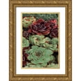 thumbnail image 1 of Frates, Dennis 23x32 Gold Ornate Wood Framed with Double Matting Museum Art Print Titled - Succulent Collection III, 1 of 4
