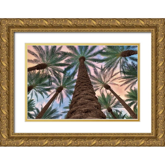 Frates, Dennis 32x23 Gold Ornate Wood Framed with Double Matting Museum Art Print Titled - Tropical Views