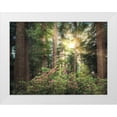 thumbnail image 1 of Frates, Dennis 32x25 White Modern Wood Framed Museum Art Print Titled - Rise n Shine, 1 of 4