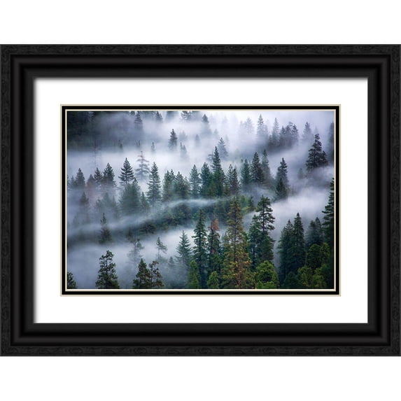 Frates, Nicki 32x23 Black Ornate Wood Framed with Double Matting Museum Art Print Titled - Fog swirling through trees
