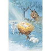 Fravessi Christmas Boxed Greeting Card Multi-Pack Set (4" x 6") | 16 Cards + 17 Envelopes | Manger Nativity with Animals Religious Scene | Blue, White