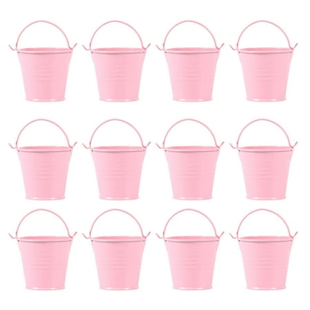Frcolor Metal Bucket Buckets Mini Flower Pails Pot Galvanized Pail Iron Pots Plant Small Planters Ice Planter Tin Candy French