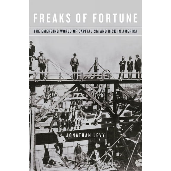 Freaks of Fortune: The Emerging World of Capitalism and Risk in America, (Paperback)