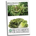thumbnail image 1 of Freckles Romaine Lettuce Seeds, 1000 Heirloom Seeds Per Packet, Non GMO Seeds, 1 of 8
