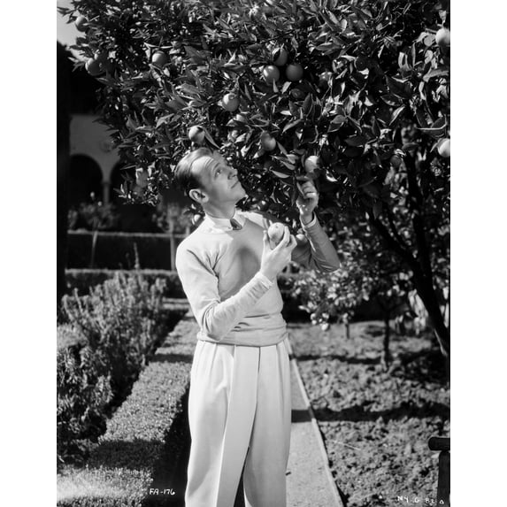 Fred Astaire Looking at a Tree in Black and White Photo Print (24 x 30)