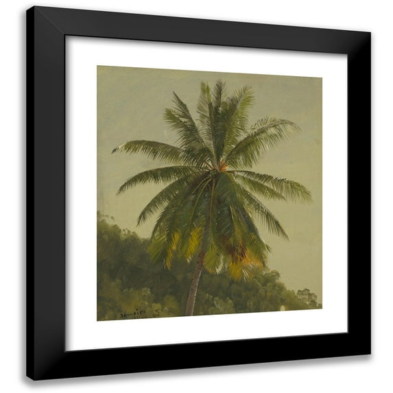 Frederic Edwin Church 12x14 Black Modern Framed Museum Art Print Titled - Palm Trees, West Indies (1865)