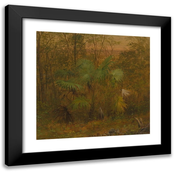 Frederic Edwin Church 21x20 Black Modern Framed Museum Art Print Titled - Thatch Palm, Jamaica (1865)