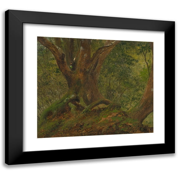 Frederic Edwin Church 22x20 Black Modern Framed Museum Art Print Titled - In the Woods, Jamaica (1865)