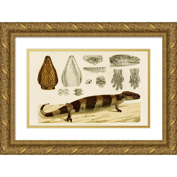 Frederick McCoy 24x16 Gold Ornate Framed and Double Matted Museum Art Print Titled - Reptiles 6 (1885-1890)
