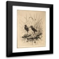 thumbnail image 1 of Frederick Stuart Church 14x18 Black Modern Framed Museum Art Print Titled - Two Birds, 1 of 5