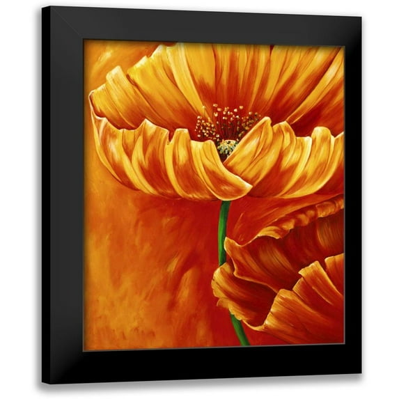 Frederiks, Beatrix 20x23 Black Modern Framed Museum Art Print Titled - Poppies in bloom I