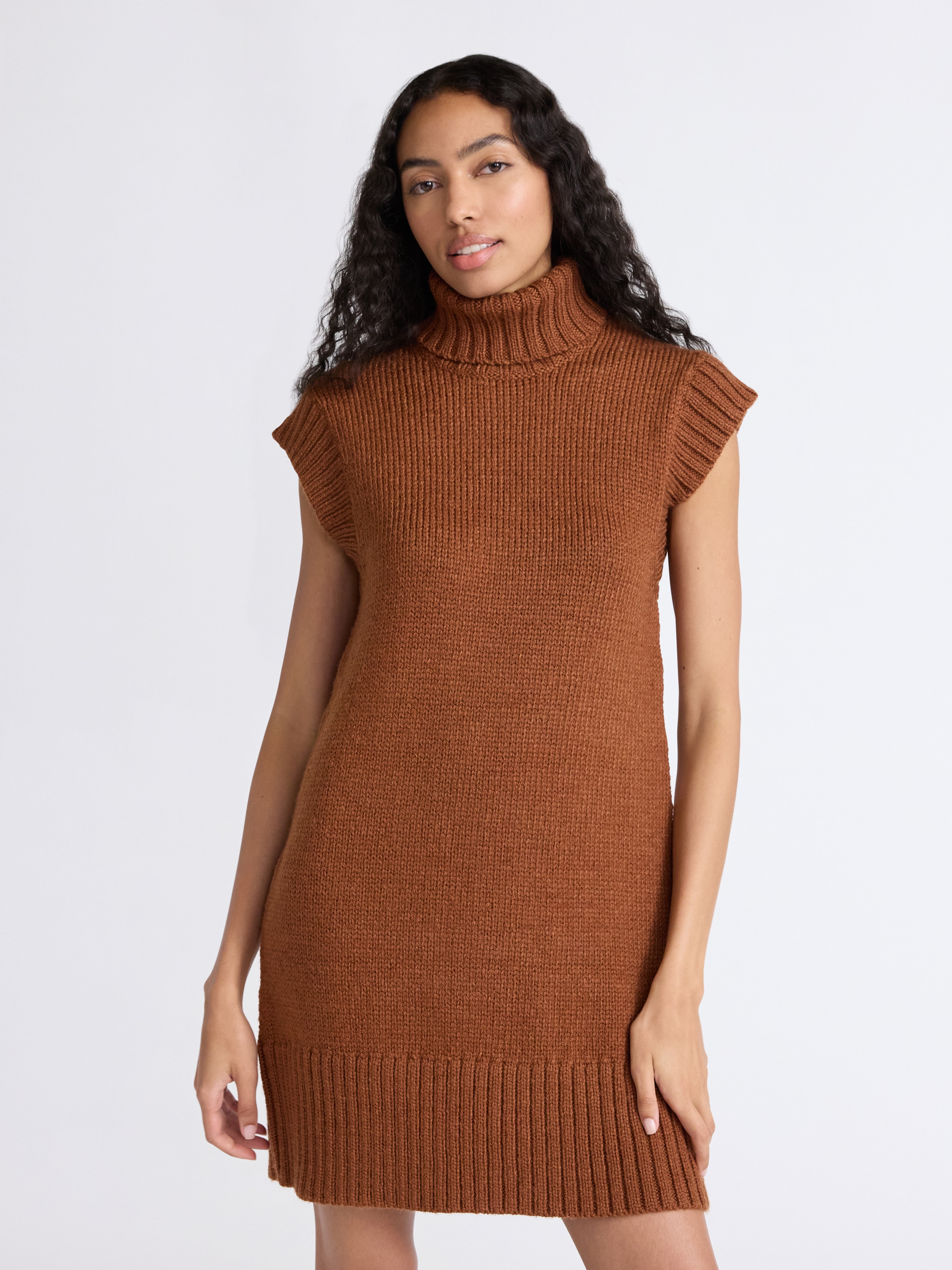 Free Assembly Women's Turtleneck Sweater Mini Dress, Sleeveless, Sizes  XS-XXL - Walmart.com