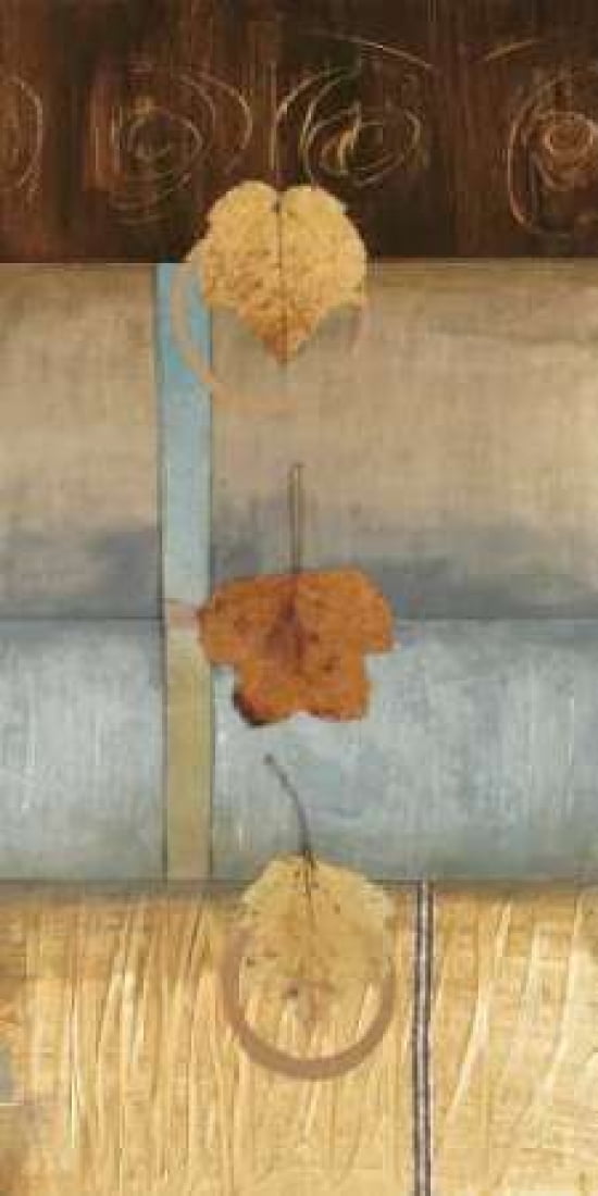 Free Fall I Canvas Art - Laurie Fields (10 x 20)