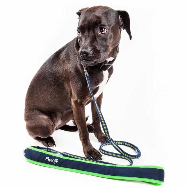 Free-Fetcher Hands Free Over-The-Shoulder Shock Absorbent Dog Leash, Navy Blue - Small