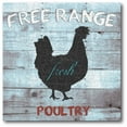 thumbnail image 1 of Free Range Poultry Gallery-Wrapped Canvas Wall Art, 16x16, 1 of 5