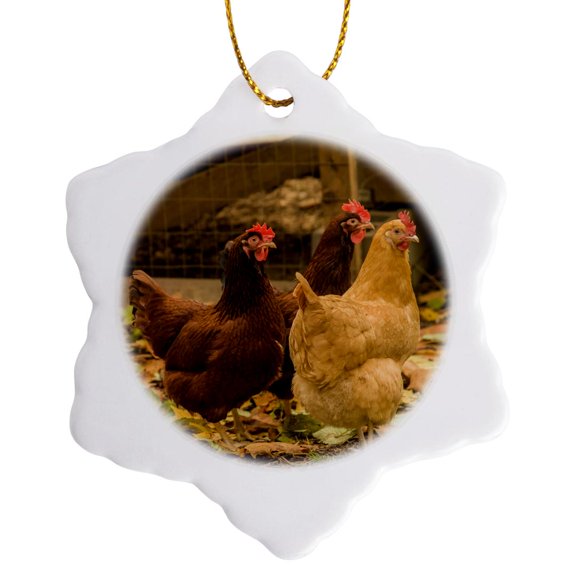 3drose, Free-ranging Buff Orpington and Rhode Island Red Chickens, 3 inch Snowflake Porcelain Ornament