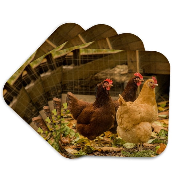 3drose, Free-ranging Buff Orpington and Rhode Island Red Chickens, Set of 4 Coasters - Soft