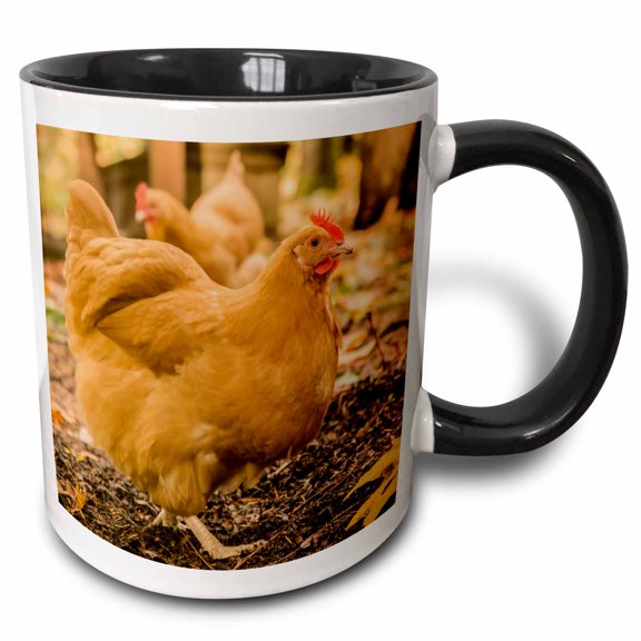 3drose, Free-ranging Buff Orpington Chickens., 11oz Two-tone Black Mug