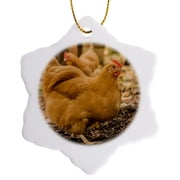 3drose, Free-ranging Buff Orpington Chickens., 3 inch Snowflake Porcelain Ornament