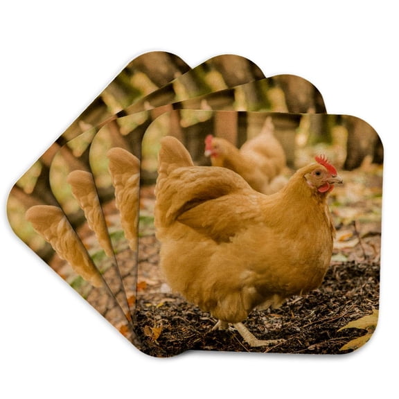 3drose, Free-ranging Buff Orpington Chickens., Set of 4 Coasters - Soft