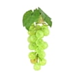 thumbnail image 1 of Free Shipping for Under $10 Lifelike Fruit Realistic Fruit Display for Home Kitchen Tabletop Centerpiece Arrangement, 1 of 4