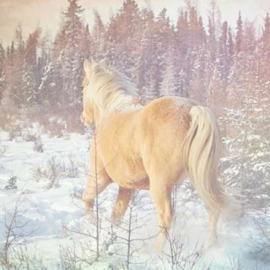Free Spirit Canvas Art - Roberta Murray (24 x 24)