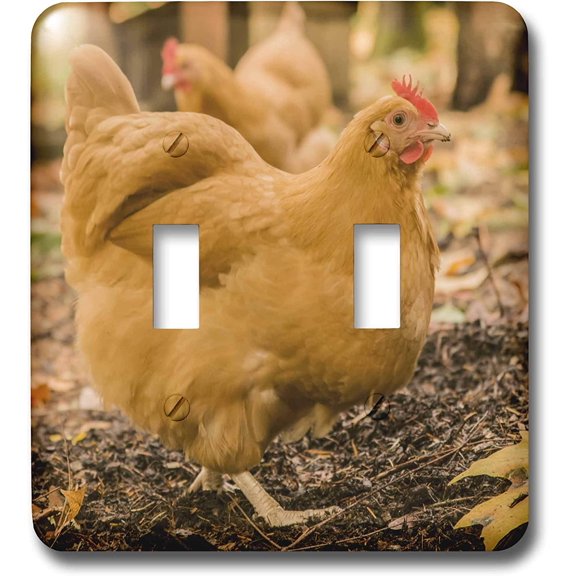 3dRose, Free-ranging Buff Orpington chickens. , double toggle switch