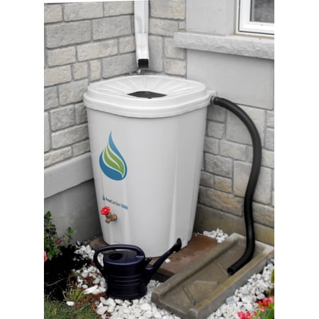 FreeGarden RAIN 55 Gal. Rain Barrel w/ Brass Spigot