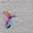 thumbnail image 1 of Free, 1 of 1