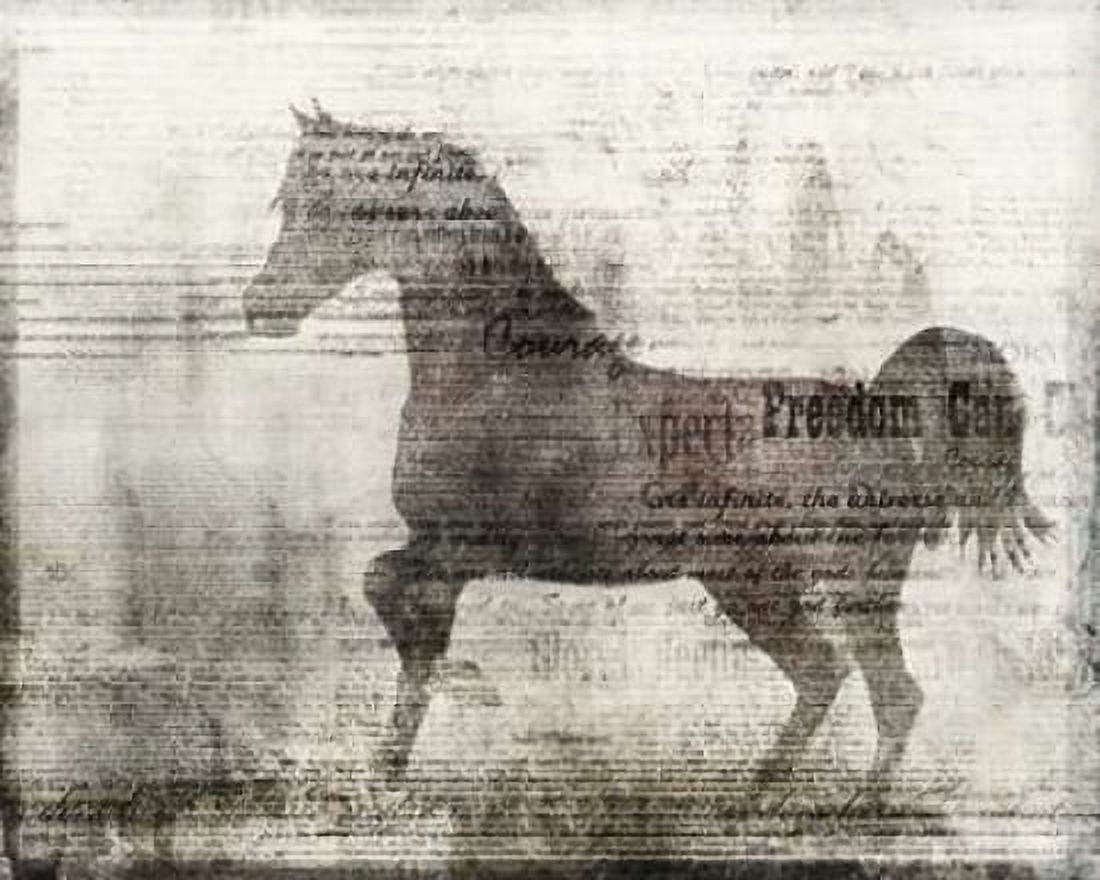 Freedom Canvas Art - Ken Roko (24 x 30)