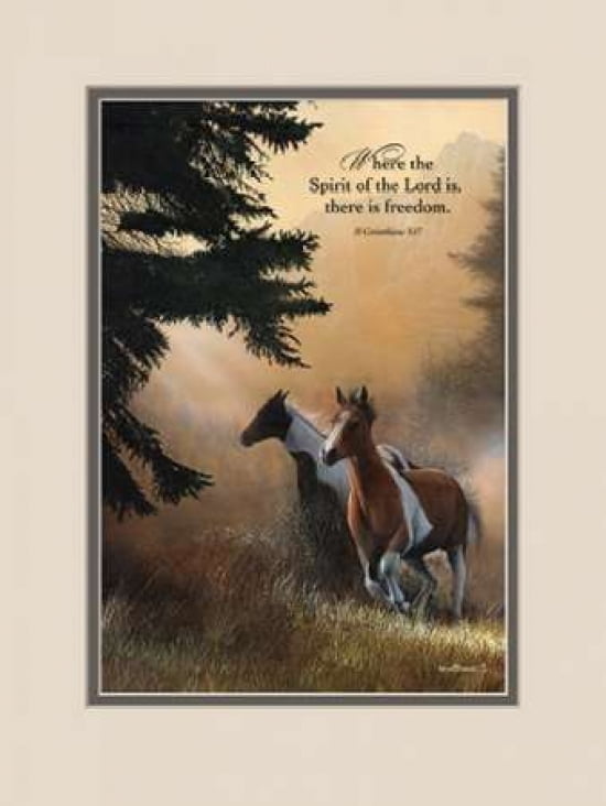 Freedom Canvas Art - Kevin Daniel (18 x 24)