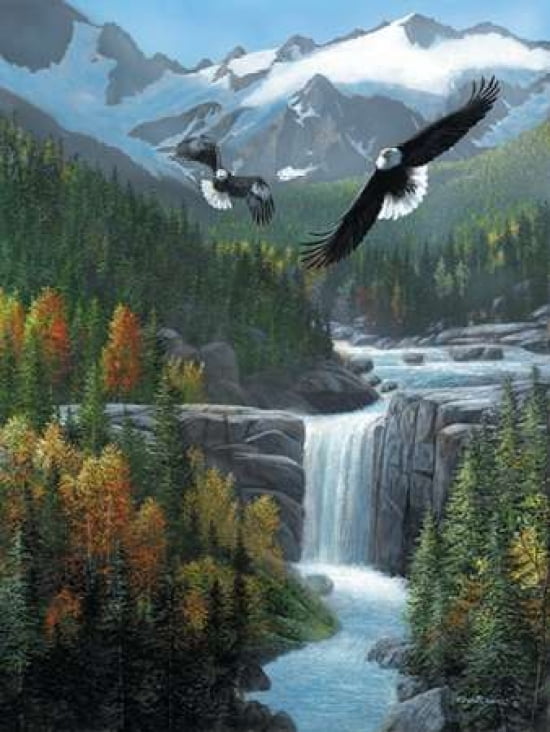 Freedom Falls Canvas Art - Kevin Daniel (22 x 28)