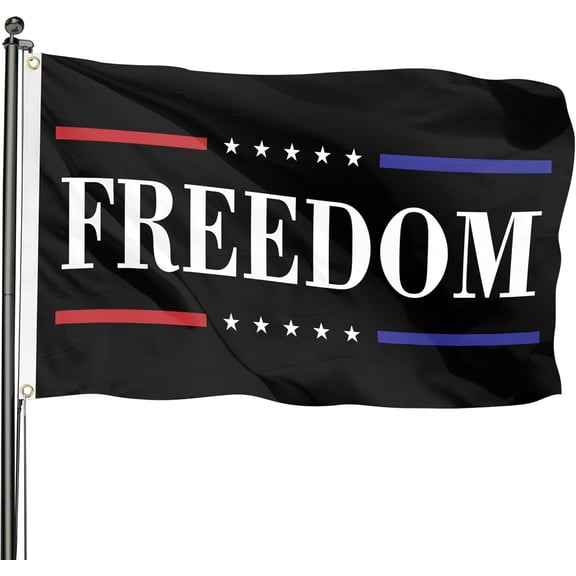 Erboli 4 Ft x 6 Ft Freedom Polyester American Outdoor Flag, Double-Sided