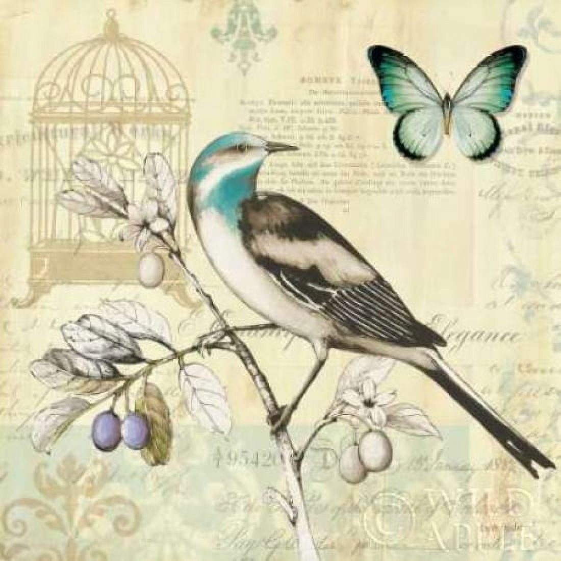 Freedom II Canvas Art - Lisa Audit (24 x 24)