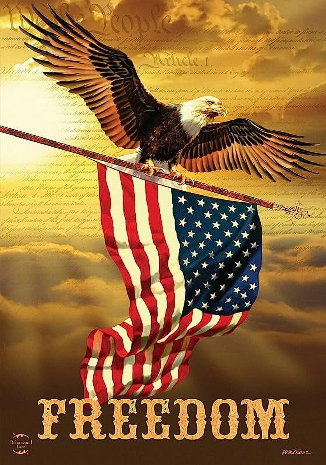 Freedom Eagle Patriotic Polyester House Flag 28" x 40"