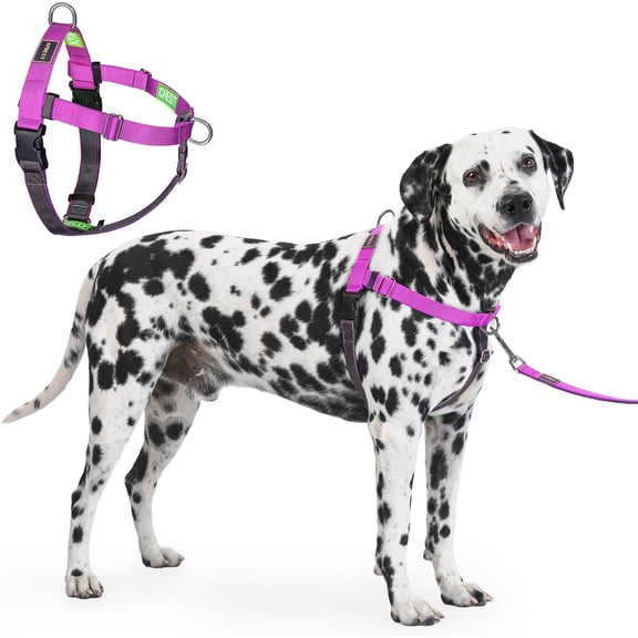 Freedom No Pull Dog Harness, Designed for Hound Train, Easy Walk with 2 Stainless D-s, Sewn-in Instructions Tags Use, Lar Dogs Weight 60-80 lbs (Purple, L)