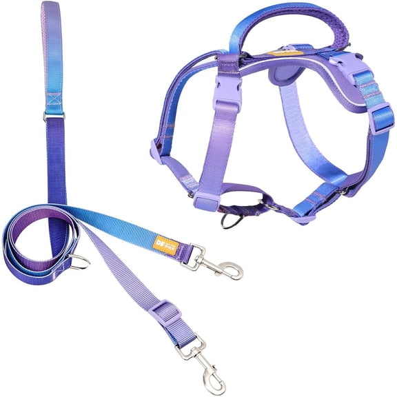 Freedom No Pull Martingale Dog Harness and Leash Set, Front Clip Adjustable with Reflective & Padded Handle, Easy Walking Training, Rainbow, 1", Chest 24.4" - 32.4"
